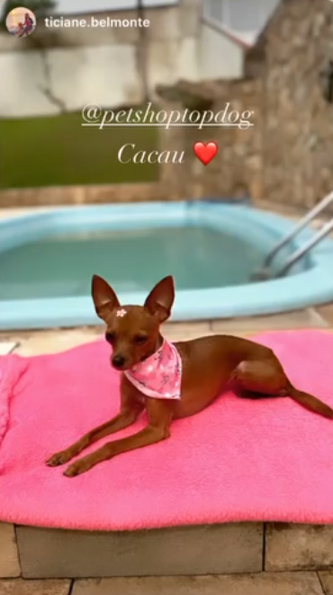 Depoimento de cliente com a pet Cacau